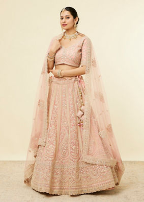 alt message - Mohey Women Light Pink Imperial Paisley Patterned Lehenga image number 2